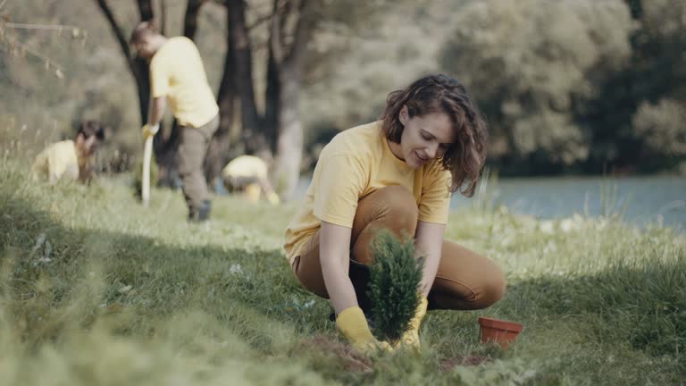 Best Lawn Renovation and Restoration  in Atkinson, IL